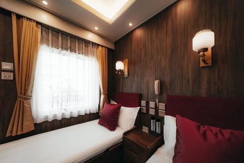 高端火車游 一票難求背后的性價(jià)比爭議與住宿服務(wù)挑戰(zhàn)